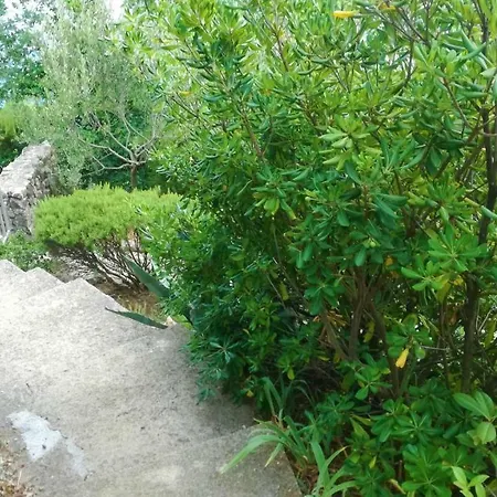 Holiday Ribarska Kuca Holiday home
